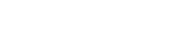 WORDPRESS SECURITY SERVICE